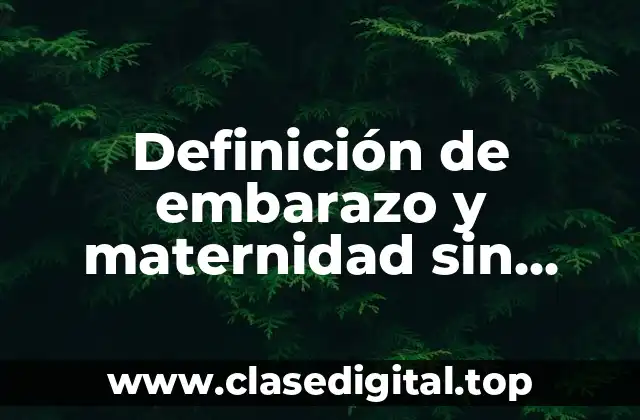 Definición de embarazo y maternidad sin riesgo