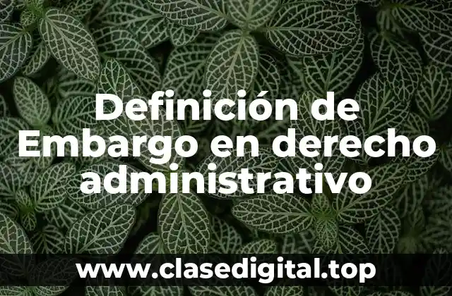 Definición de Embargo en derecho administrativo