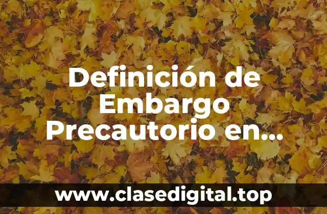 Definición de Embargo Precautorio en Mercantil