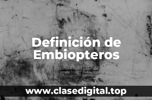 Definición de Embiopteros