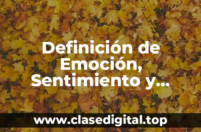 Definición de Emoción, Sentimiento y Estado de Ánimo