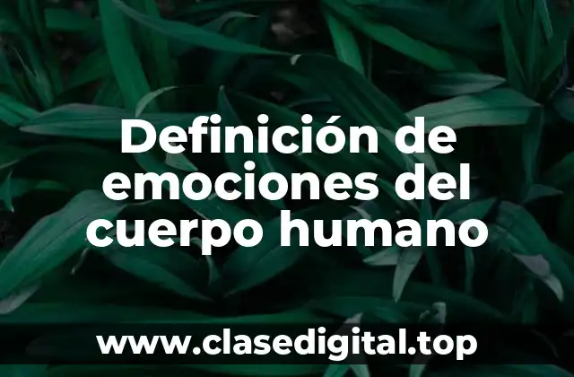 Definición de emociones del cuerpo humano