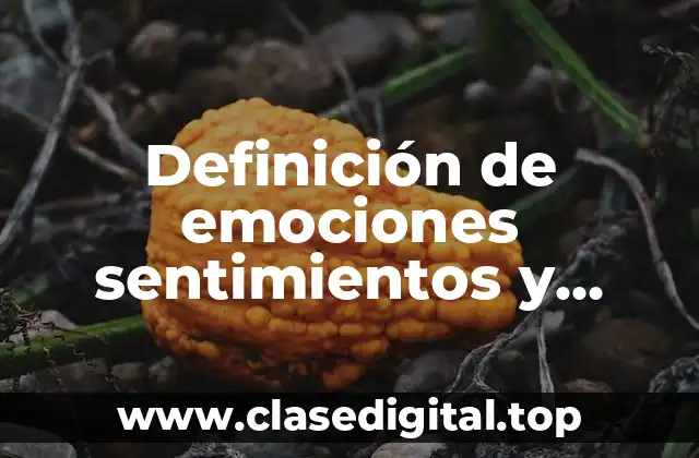 Definición de emociones sentimientos y actitudes