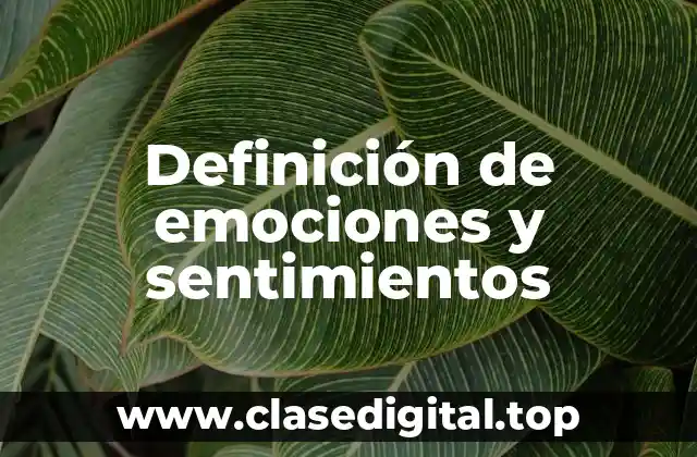 Definición de emociones y sentimientos
