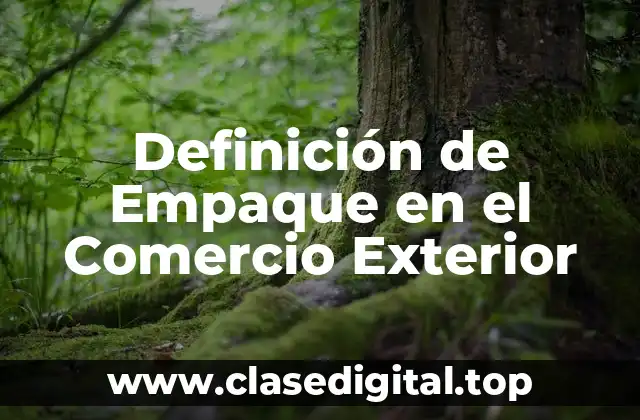 Definición de Empaque en el Comercio Exterior
