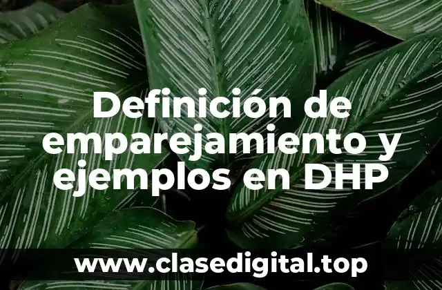 Definición de emparejamiento y ejemplos en DHP