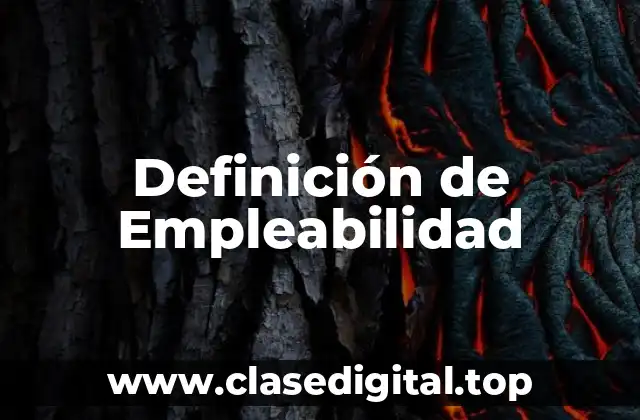 📗 Definición técnica de Empleabilidad
