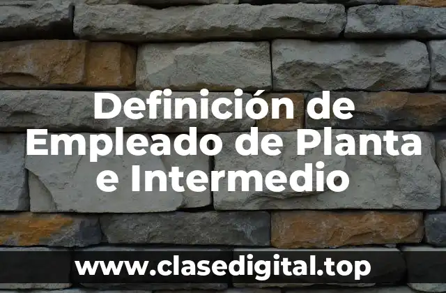 📗 Definición técnica de Empleado de Planta e Intermedio