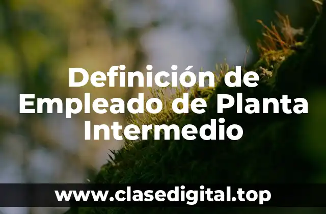 Definición de Empleado de Planta Intermedio