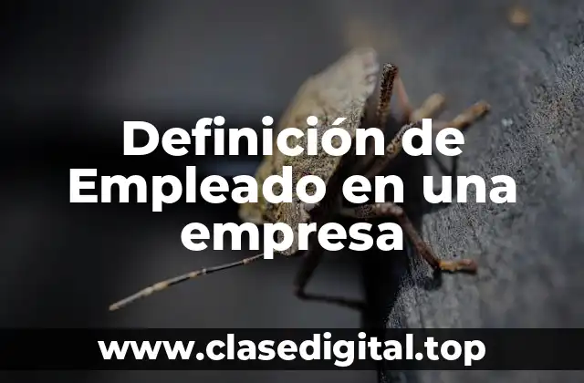 Definición de Empleado en una empresa