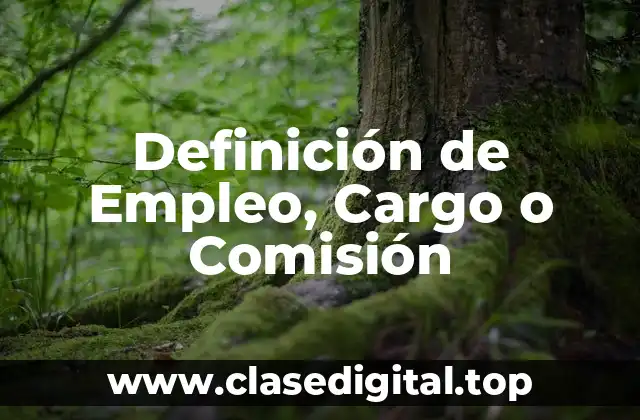 Definición de Empleo, Cargo o Comisión