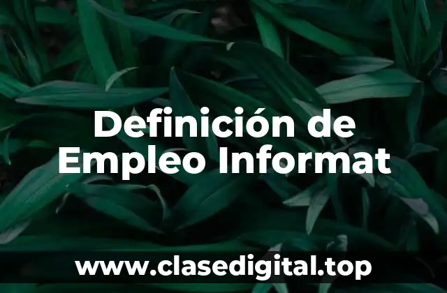 Definición de Empleo Informat