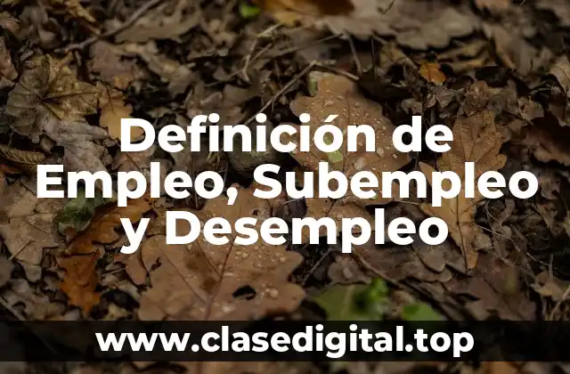 Definición de Empleo, Subempleo y Desempleo