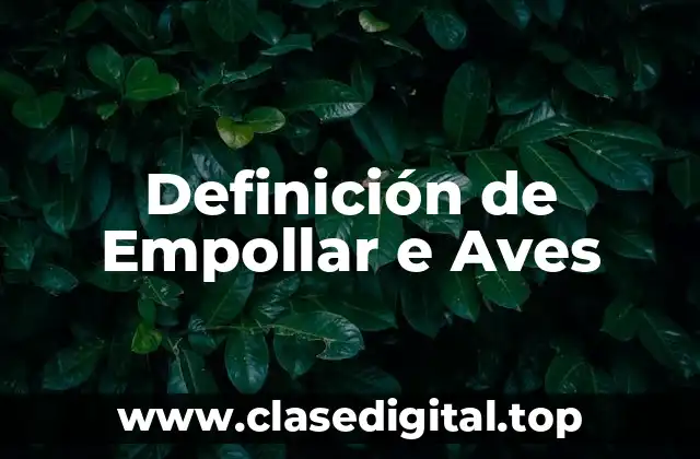 Definición de Empollar e Aves