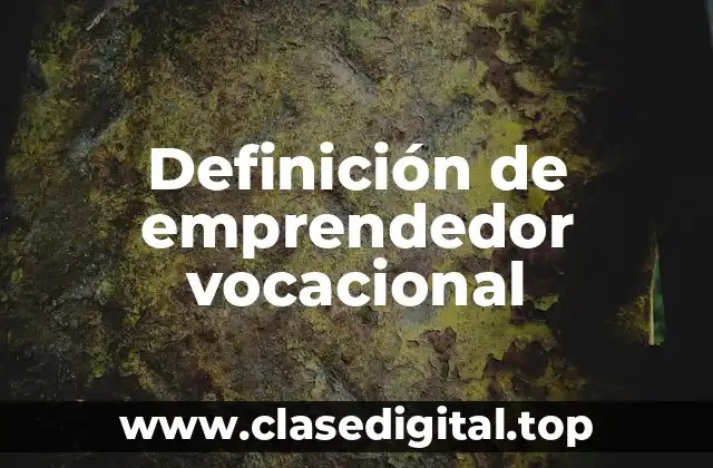 Definición de emprendedor vocacional