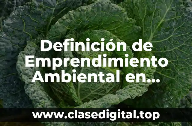 Definición de Emprendimiento Ambiental en Colombia