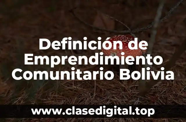Definición de Emprendimiento Comunitario Bolivia