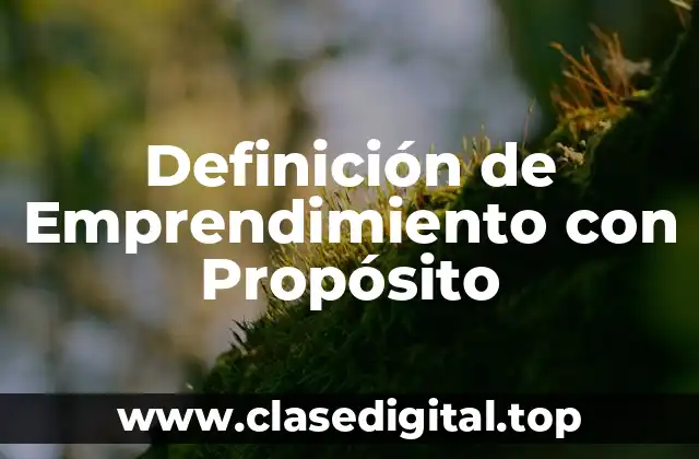 Definición de Emprendimiento con Propósito