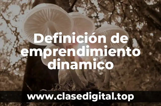 Definición de emprendimiento dinamico