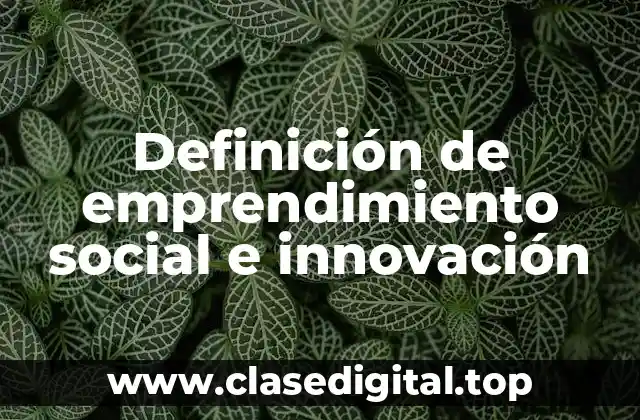 Definición de emprendimiento social e innovación