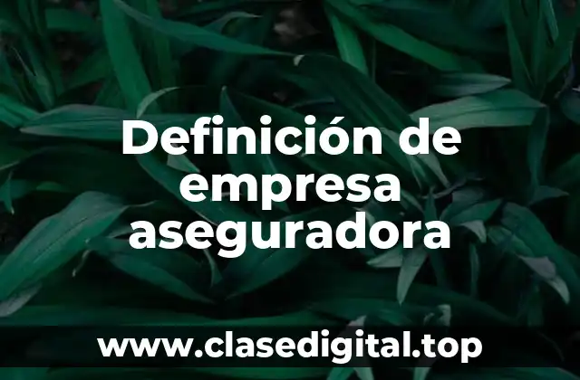 Definición de empresa aseguradora