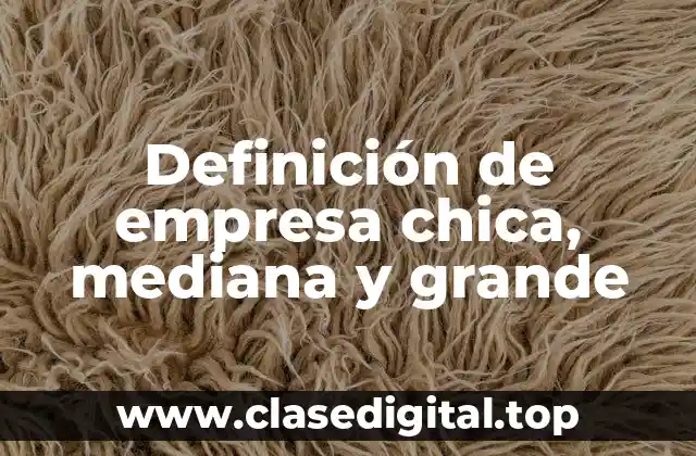 📗 Definición técnica de empresa chica