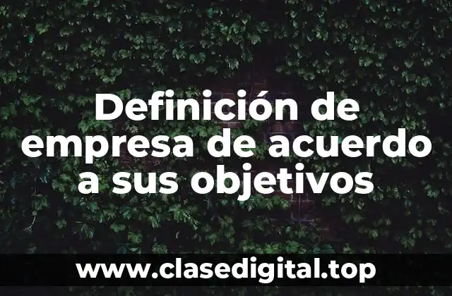 Definición de empresa de acuerdo a sus objetivos