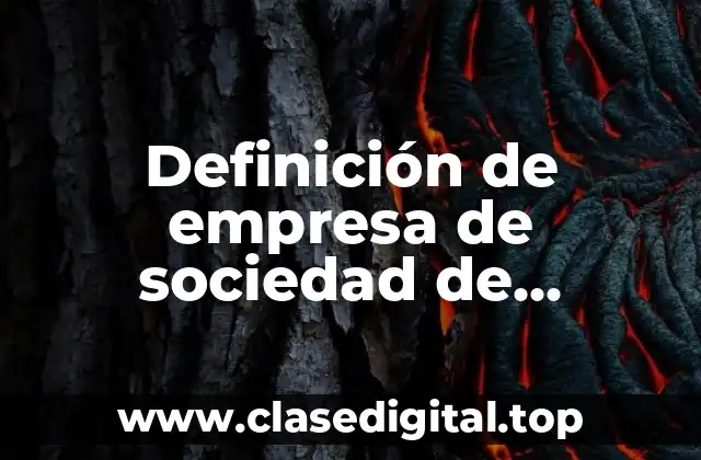 Definición de empresa de sociedad de responsabilidad limitada