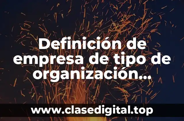 Definición de empresa de tipo de organización territorial