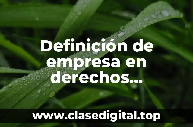 Definición de empresa en derechos empresariales