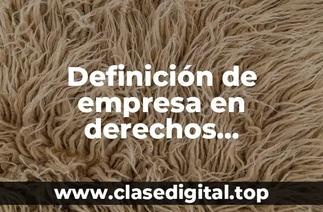 Definición de empresa en derechos empresariales