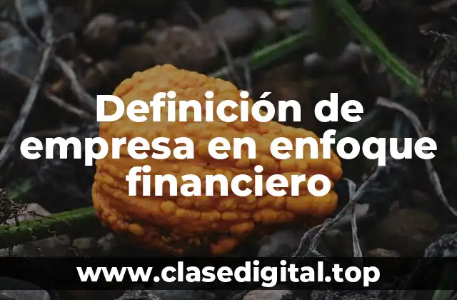 Definición de empresa en enfoque financiero
