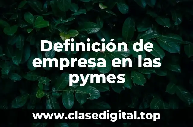 Definición de empresa en las pymes
