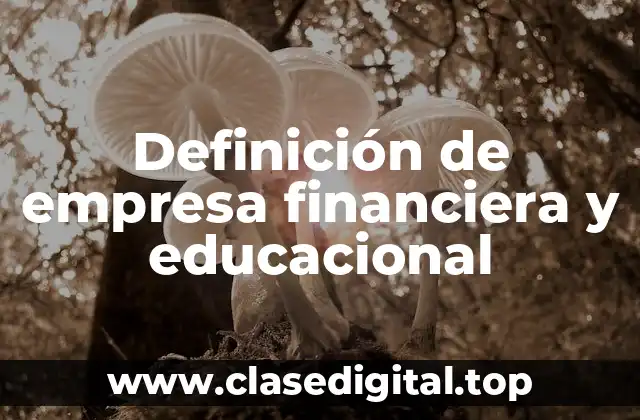 ☑️ Definición técnica de empresa financiera y educacional