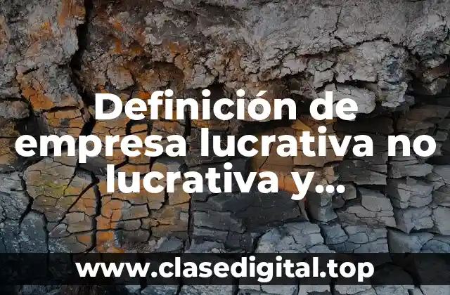 Definición de empresa lucrativa no lucrativa y gubernamental