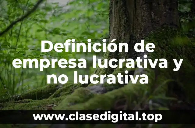 Definición de empresa lucrativa y no lucrativa