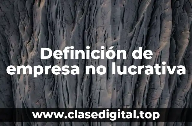 Definición de empresa no lucrativa