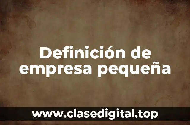 Definición técnica de empresa pequeña