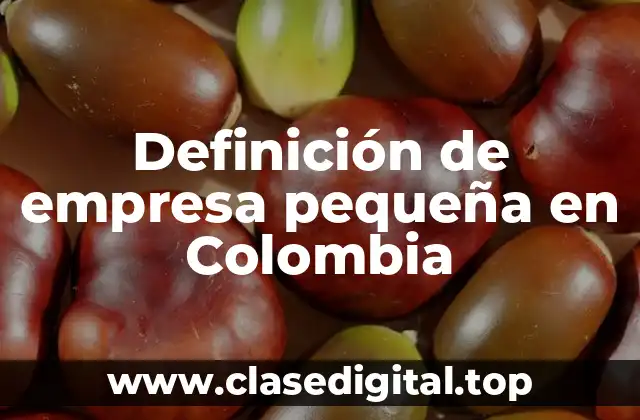 Definición de empresa pequeña en Colombia