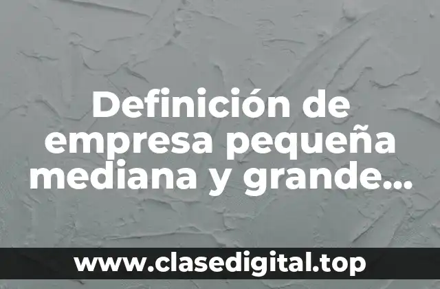 Definición de empresa pequeña mediana y grande México