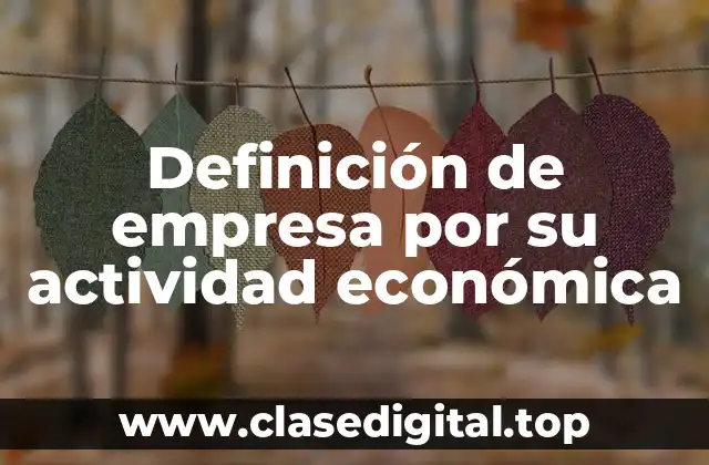 Definición de empresa por su actividad económica