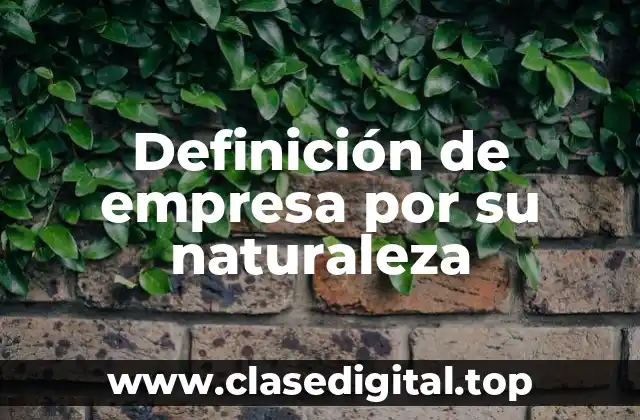 Definición de empresa por su naturaleza