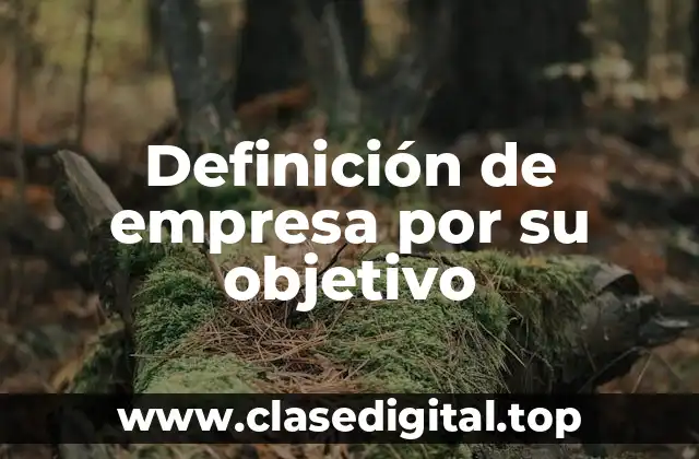 Definición de empresa por su objetivo