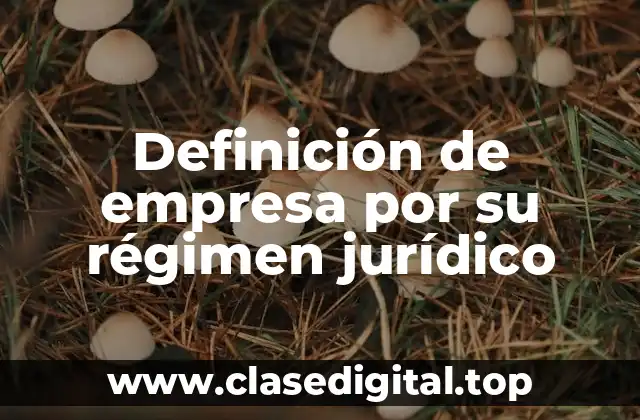 Definición de empresa por su régimen jurídico