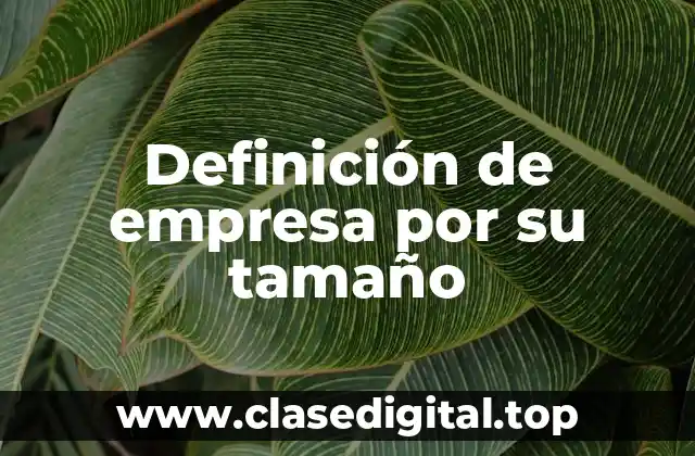 Definición de empresa por su tamaño