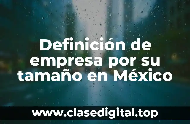 Definición de empresa por su tamaño en México