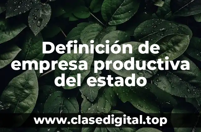 Definición de empresa productiva del estado
