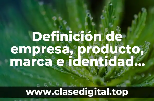 Definición de empresa, producto, marca e identidad de imagen