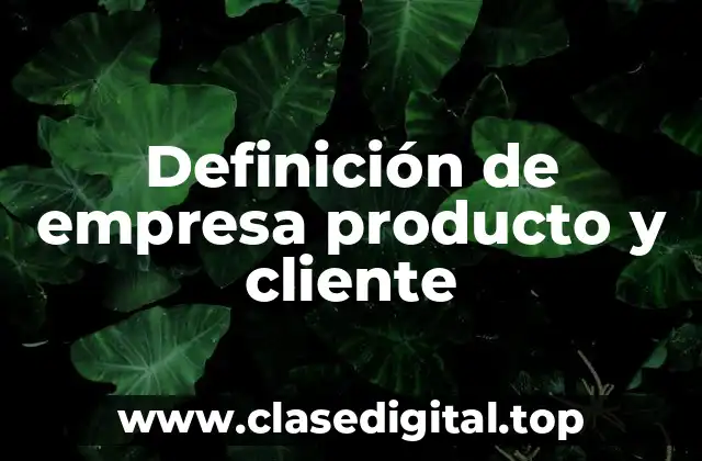 Definición de empresa producto y cliente