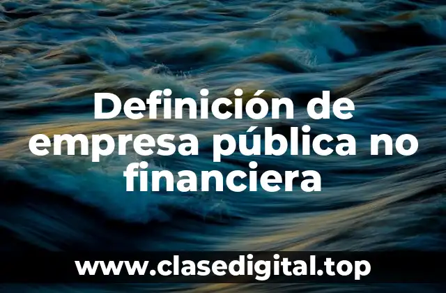 Definición de empresa pública no financiera